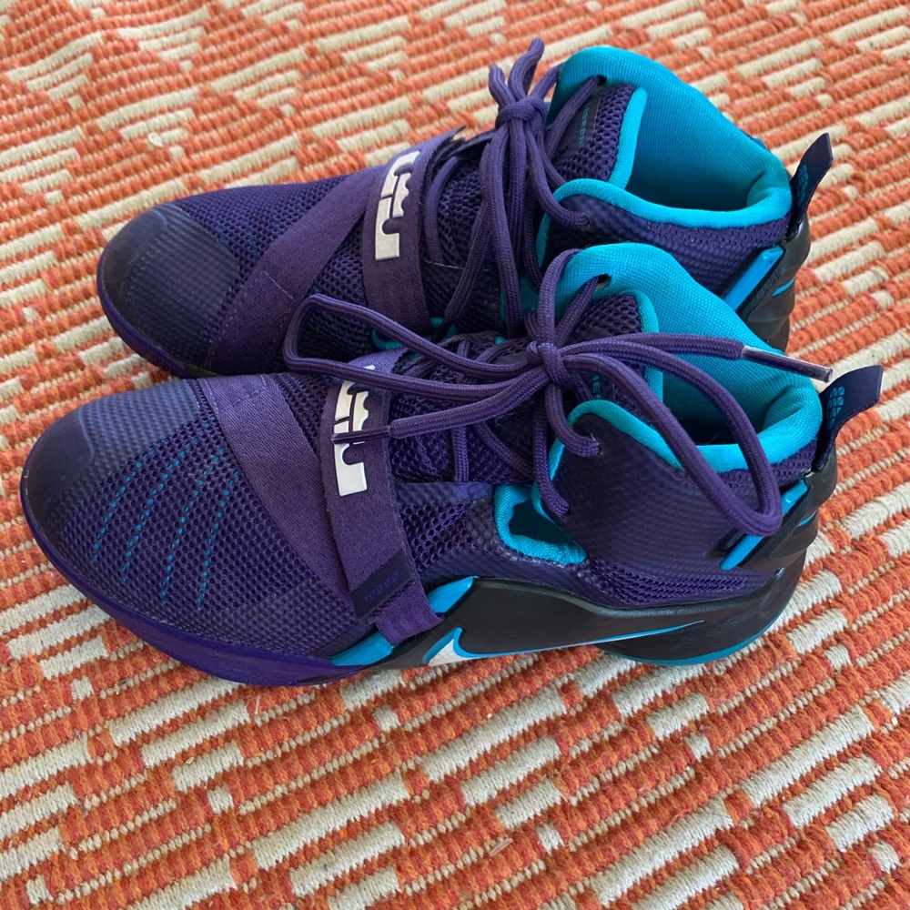 Nike Lebron James sneakers